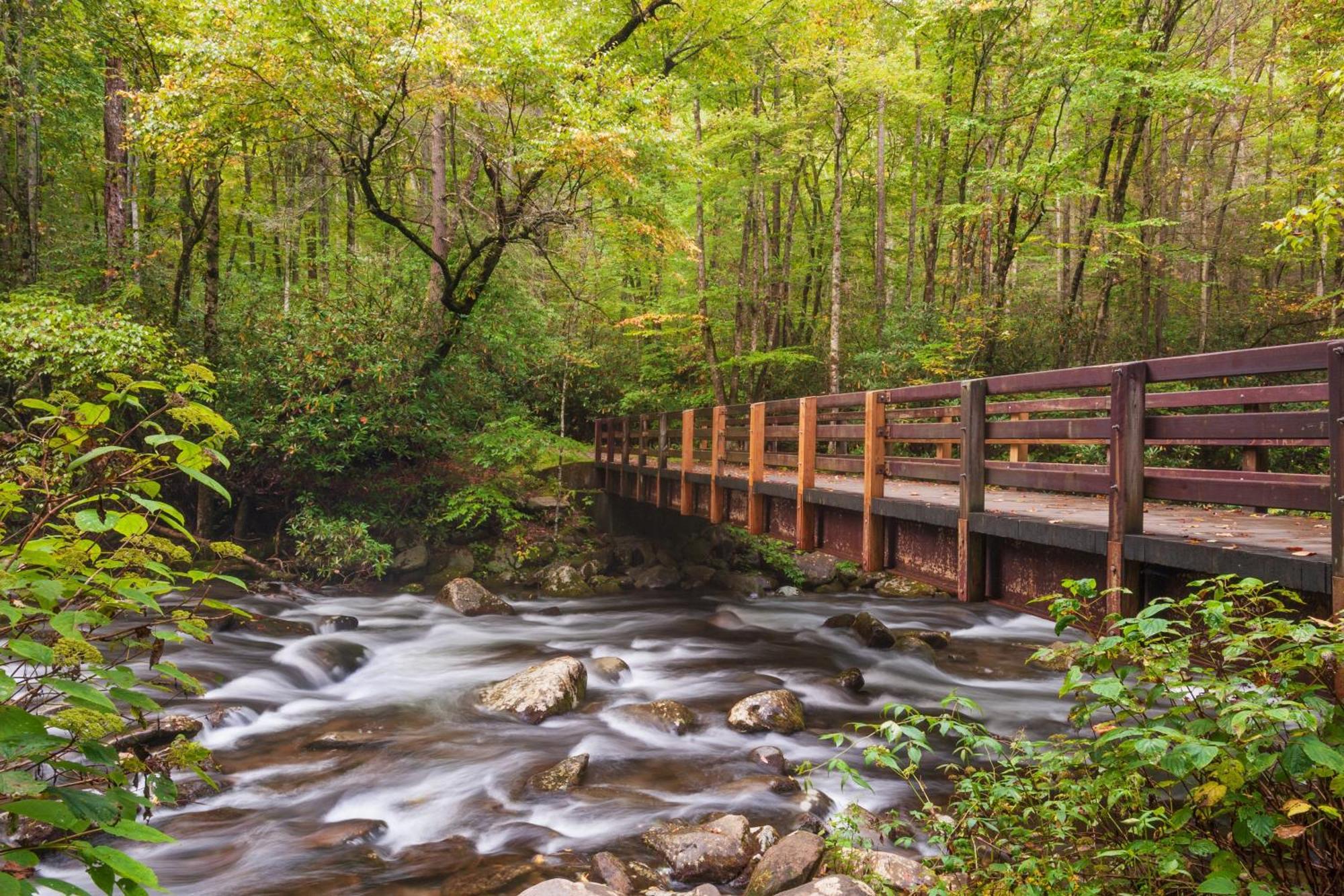 Vila A Million Dollar View- Get 951 Worth Of Free Area Attraction Tickets For Each Paid Day! Gatlinburg Exteriér fotografie